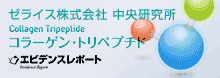 コラーゲン・トリペプチド（CTP）  ゼライス株式会社中央研究所
